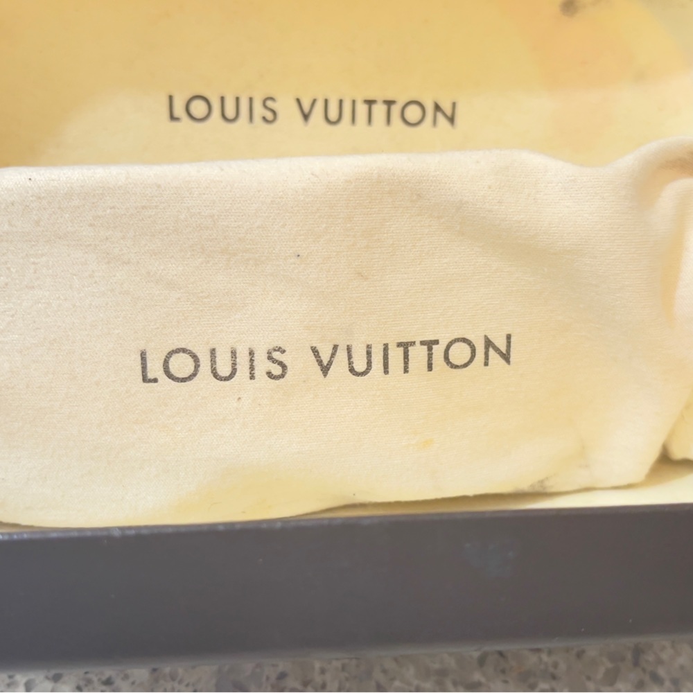 Louis Vuitton Evidence sunglasses